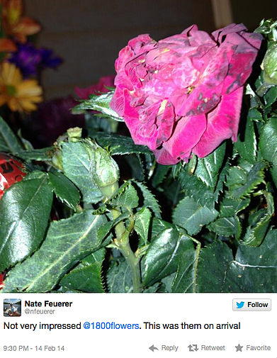 1-800 flowers valentines 1